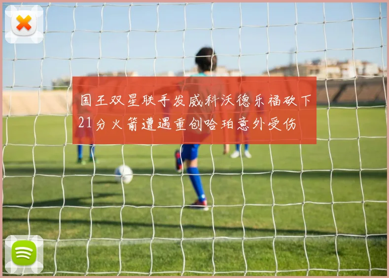 国王双星联手发威科沃德乐福砍下21分火箭遭遇重创哈珀意外受伤