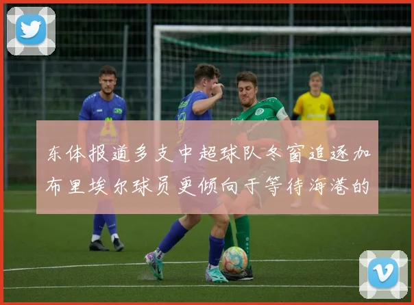 东体报道多支中超球队冬窗追逐加布里埃尔球员更倾向于等待海港的机会