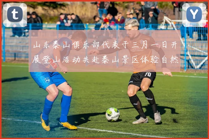 山东泰山俱乐部代表于三月一日开展登山活动共赴泰山景区体验自然之美